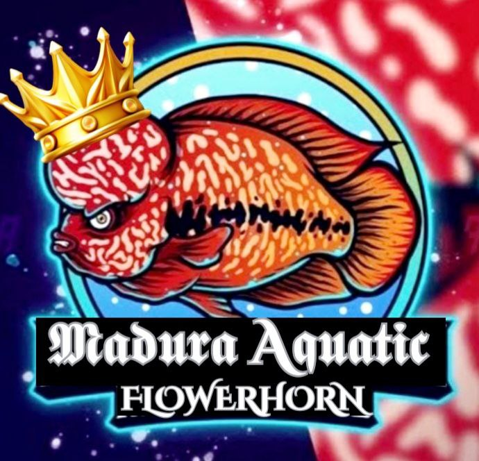 Madura Aquatic Logo